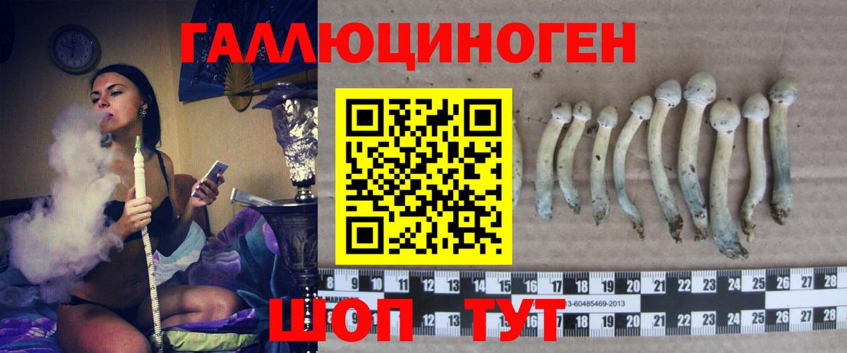 Галлюциногенные грибы GOLDEN TEACHER Славгород