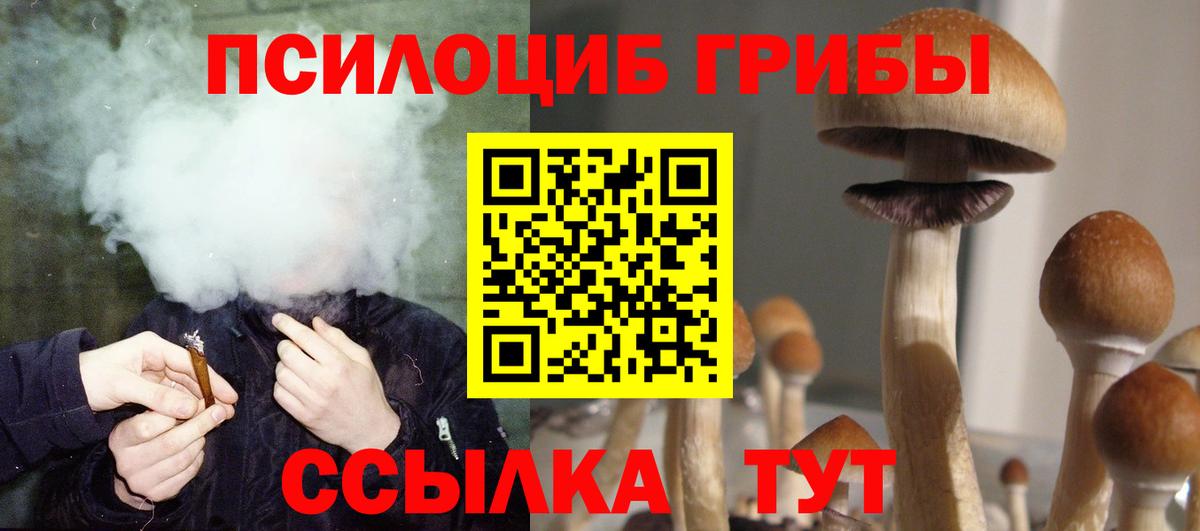Славгород  Псилоцибиновые грибы мухоморы  Псилоцибиновые грибы ЛСД  Вход с VPN 