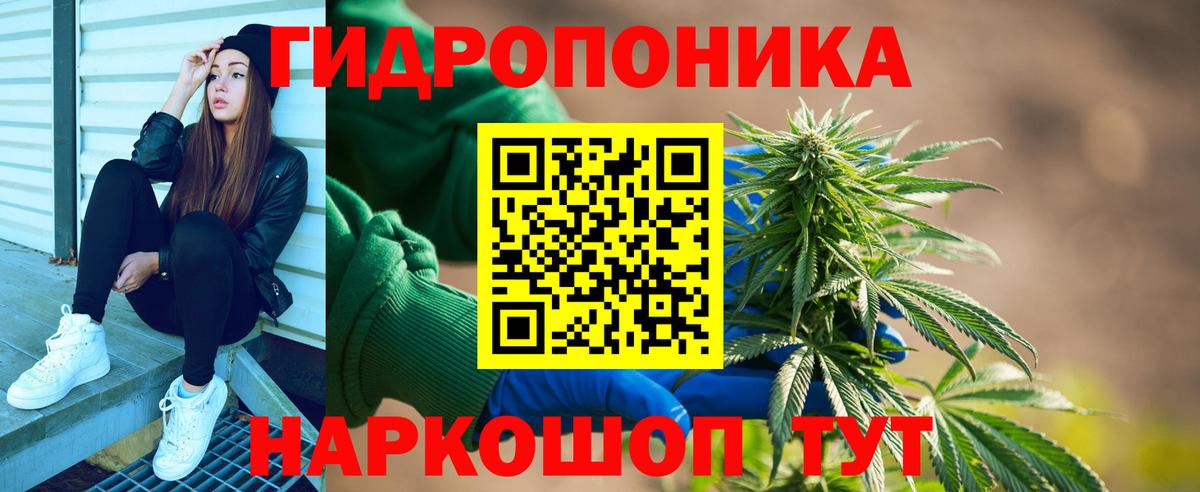 Марихуана конопля  МАРИХУАНА OG Kush  Славгород  Вход с VPN 